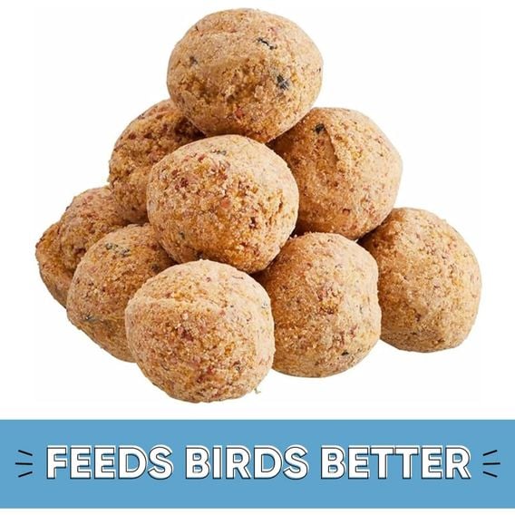 Happy Beaks - High Energy Premium Fat Balls (90g)